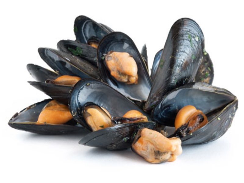 Troppe biotossine marine liposolubili in cozze della ITTICA LUCIANI